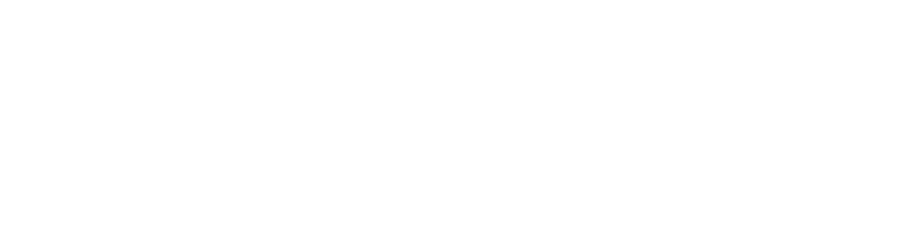 Greenwich Capital Markets